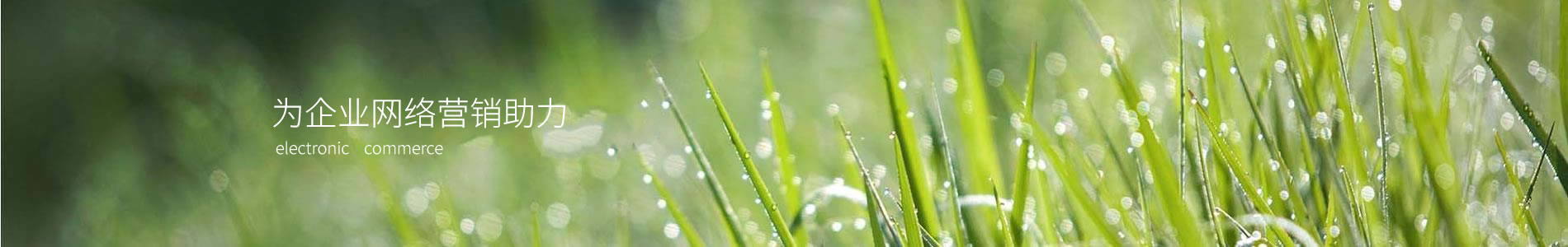 ֣ȴ￵ӿƼ޹˾
